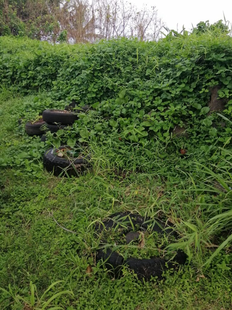 Afterlife of car tyres: To sink or let sit?