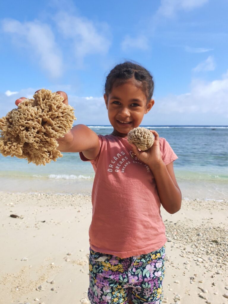 Sea sponges as an organic industry