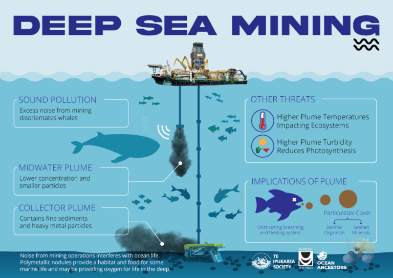 Potential impacts of deep seabed mining on our tuna fisheries – Te ...