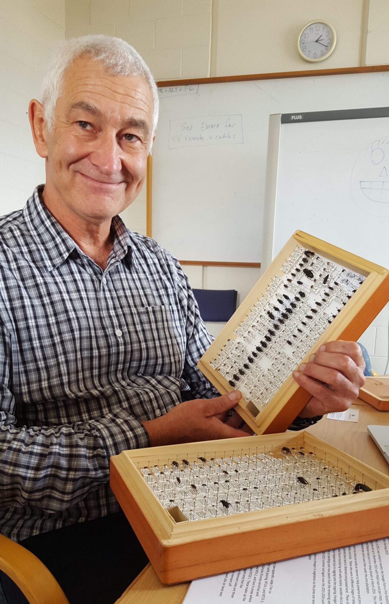 Michael Cook Insect More on our stream health – Te Ipukarea society