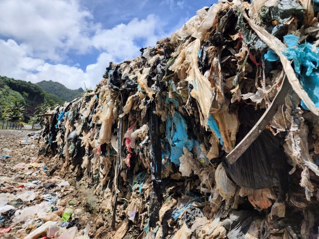 Who wants to be a plastic Māori?