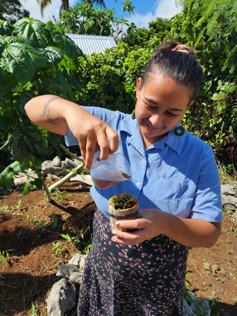 Worm farming. A fun composting process