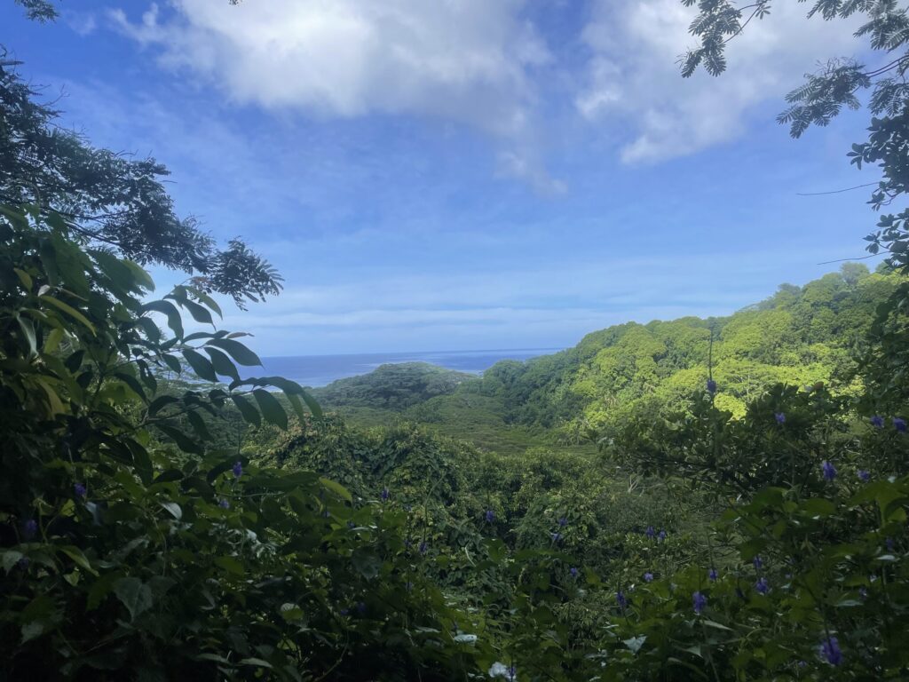 Fresh eyes on the Takitumu Conservation Area (TCA)