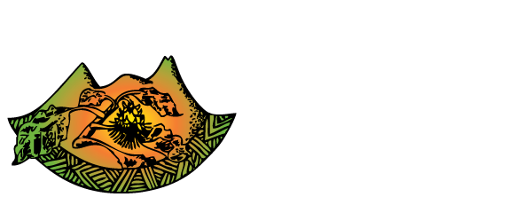 2025 tis website header logo p rev