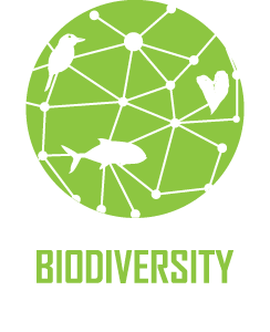 biodiversity tall