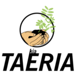 kiataeria 300 x 300 wide gold