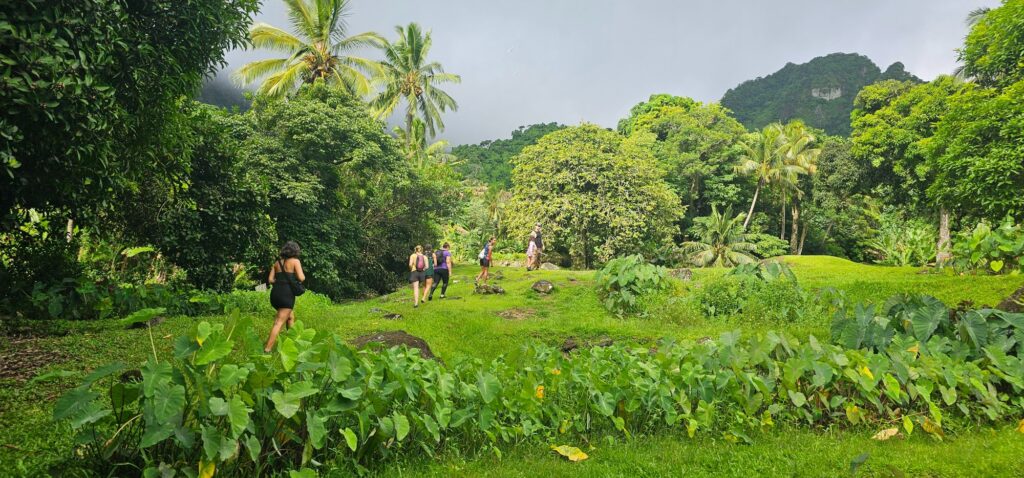 Living legacy of biodiversity and tradition