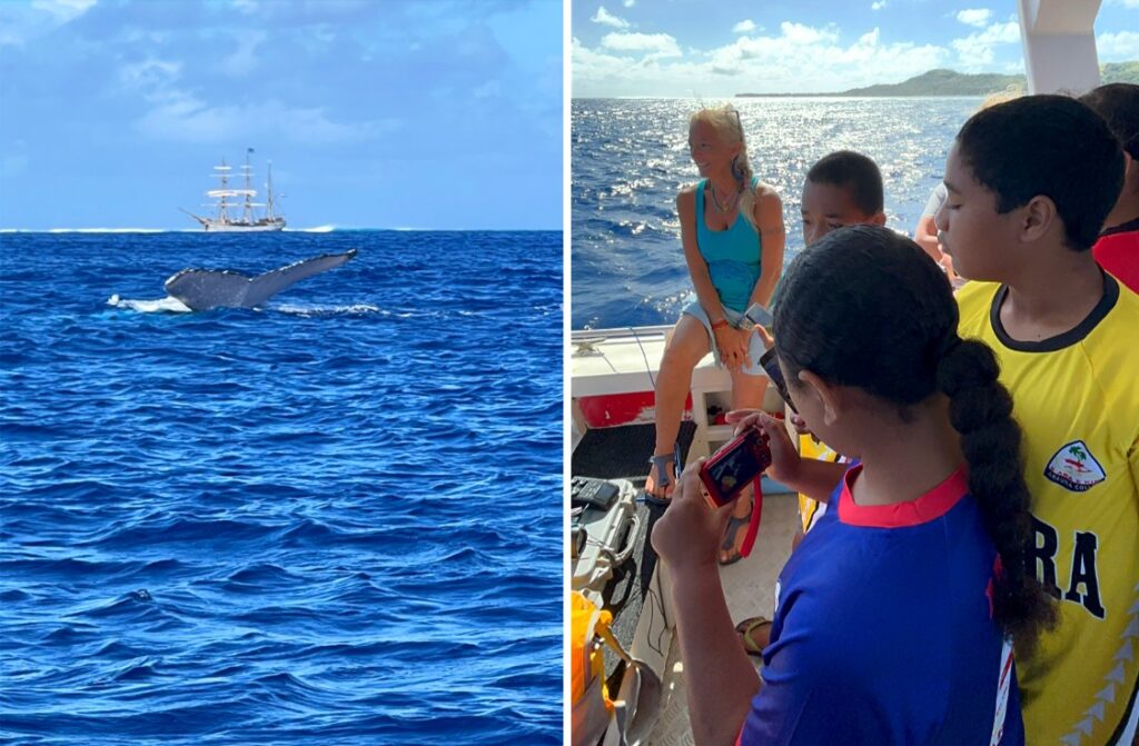 Humpback whales return to the Cook Islands