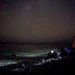 Starry night sea-bird monitoring