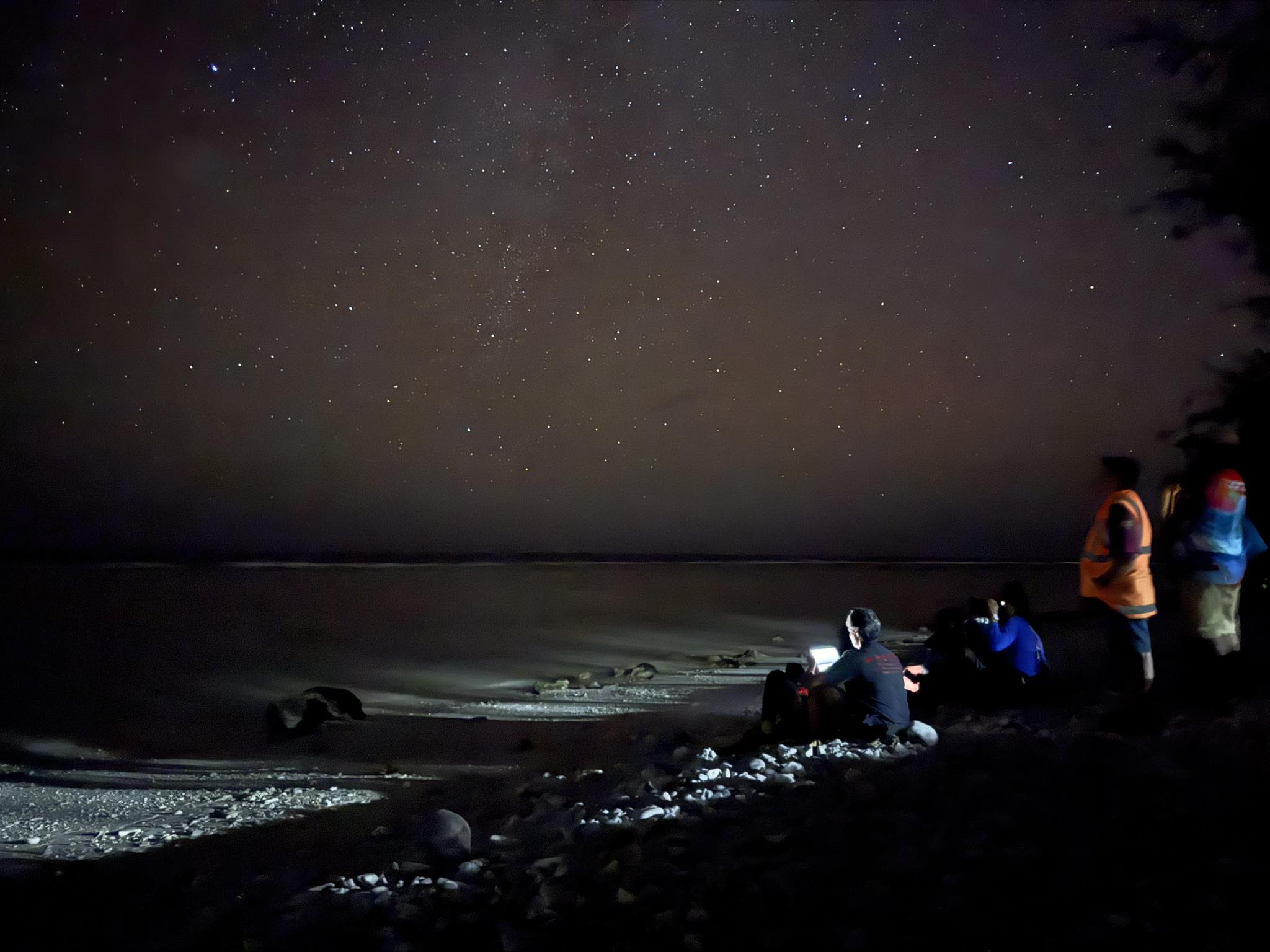 Starry night sea-bird monitoring