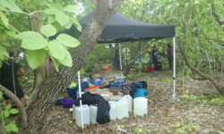 2018 Suwarrow rat baiters camp