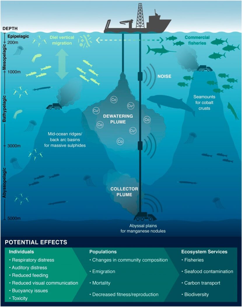 the-effect-on-our-oceans